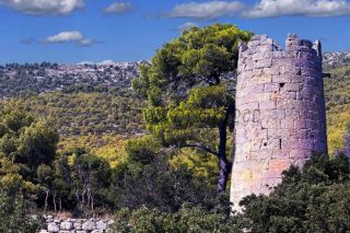 Οι μονοήμερες εκδρομές της άνοιξης σε Βόρεια Αττική και Βοιωτία